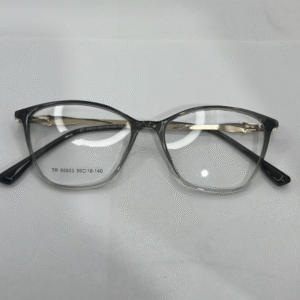 Frame Shape :Oversized